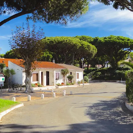 Homes Falesia Cozy With Terrace & 2 Swimming Pools *