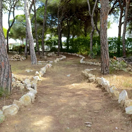Homes Falesia Cozy With Terrace & 2 Swimming Pools *